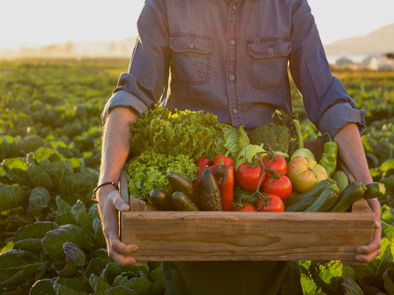 Farmers Carrying A Wooden Crate Of Vegetables