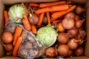 Fresh Food Box Distribution